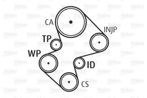 Set pompa apa + curea dintata 7