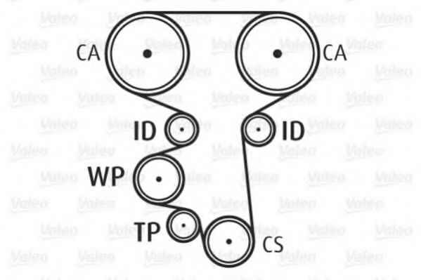 Set pompa apa + curea dintata 7
