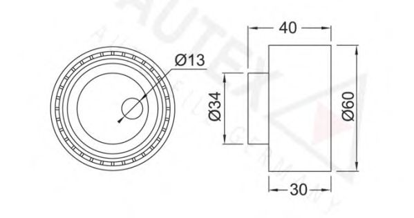 rola intinzator,curea distributie 2