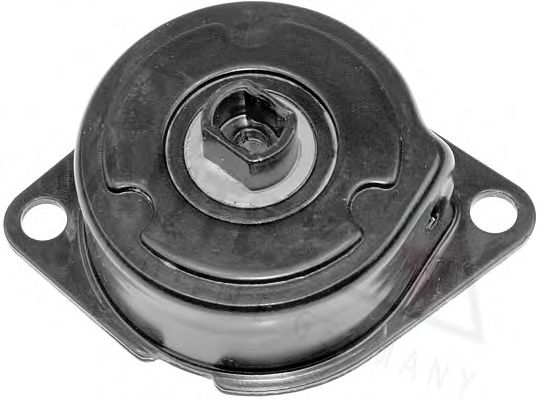 Intinzator curea, curea distributie 2