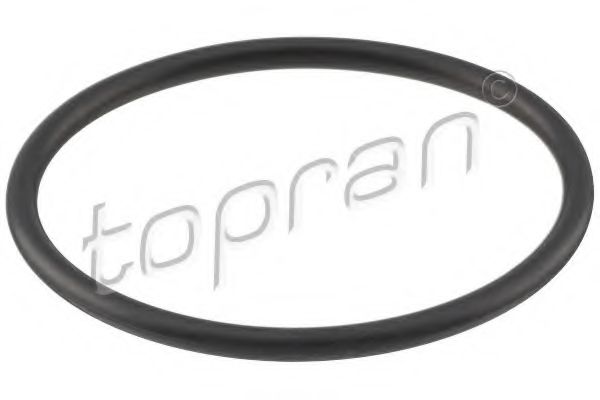 100 618 Garnitura termostat TOPRAN 
