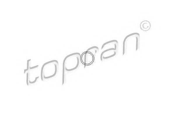 100 678 Inel etansare, injector TOPRAN 