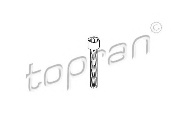 104 306 surub,flansa cardan TOPRAN 