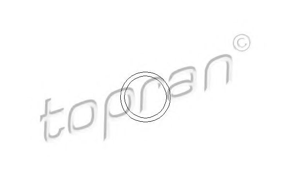 109 639 garnitura,conducta lichid de racire TOPRAN 