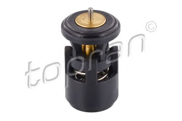 termostat,lichid racire