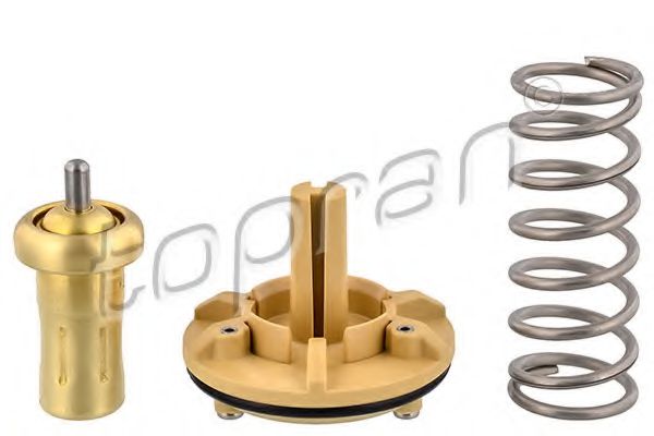 termostat,lichid racire