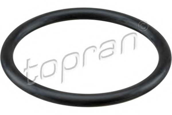 113 884 Garnitura, carcasa filtru aer TOPRAN 