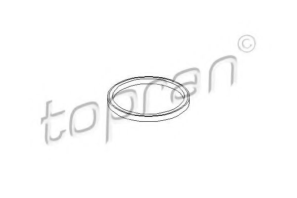207 487 Garnitura termostat TOPRAN 