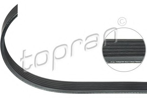723 439 Curea transmisie cu caneluri TOPRAN 