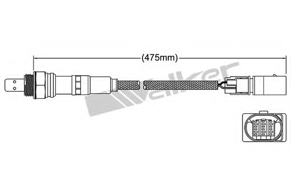 250-25062 Sonda Lambda WALKER PRODUCTS 