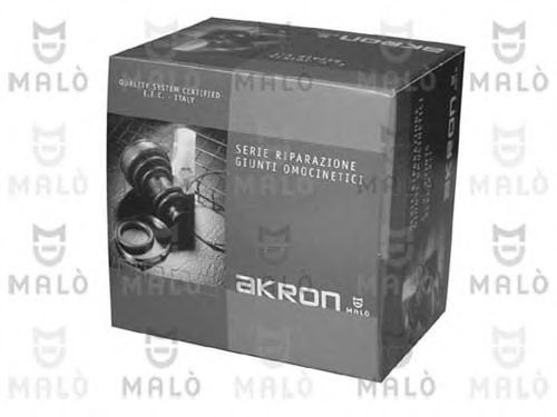 23114809klr Ansamblu burduf, articulatie planetara MALÒ 