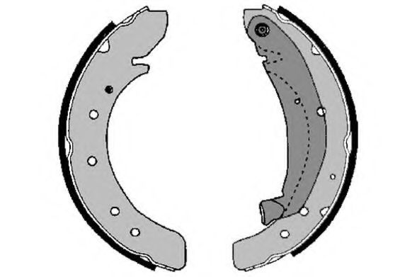 7259RP Set saboti frana, frana de mana RAICAM 
