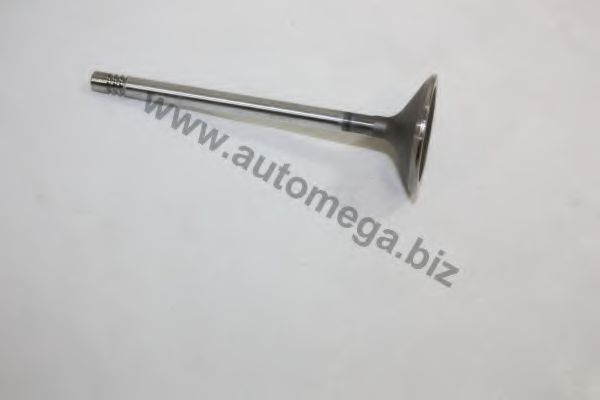 1006410063 Supapa admisie AUTOMEGA 