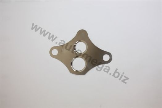 1008500423 Garnitura, ventil AGR AUTOMEGA 