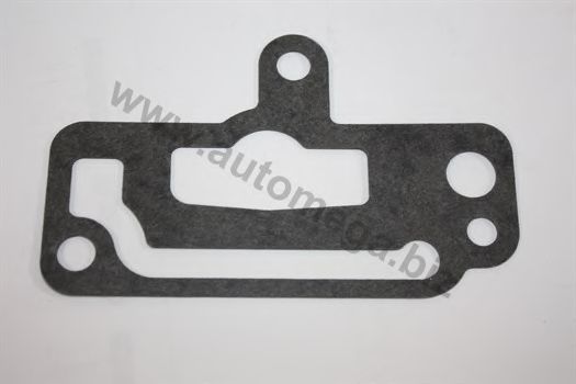 1012080951 Garnitura, flansa lichid racire AUTOMEGA 