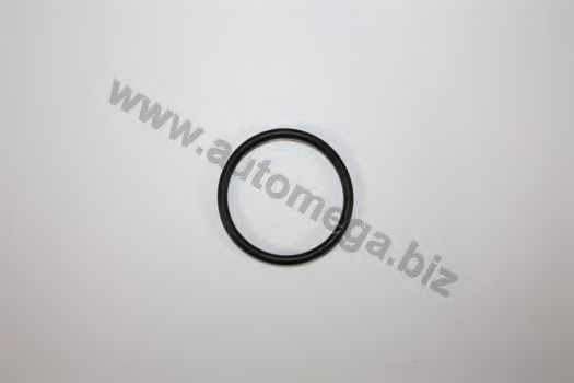 101210687037 Garnitura, flansa lichid racire AUTOMEGA 