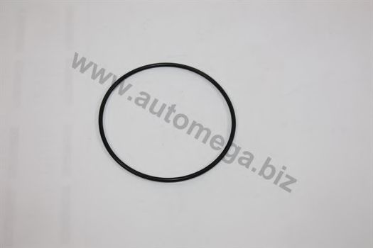 1013340754 Garnitura, pompa de apa AUTOMEGA 