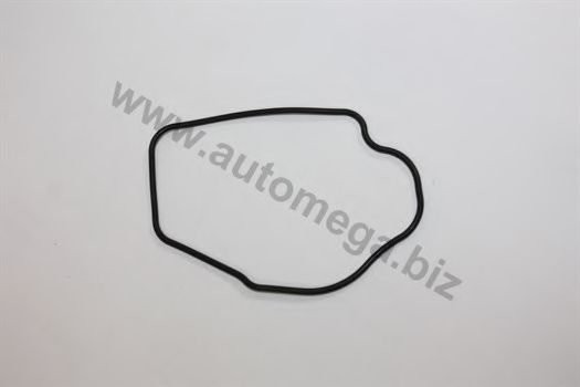 1013380229 Garnitura termostat AUTOMEGA 
