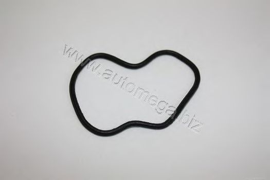 3006070505 Garnitura, flansa lichid racire AUTOMEGA 