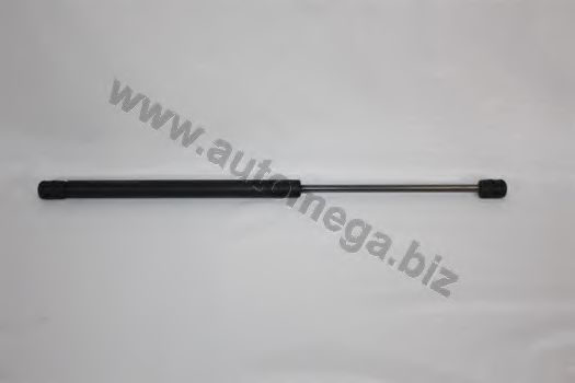 Amortizor portbagaj