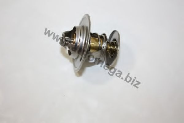 termostat,lichid racire