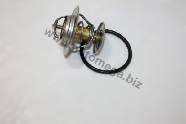 termostat,lichid racire