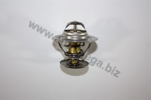 termostat,lichid racire