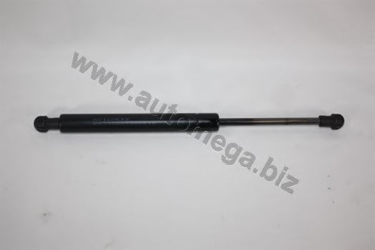 Amortizor portbagaj
