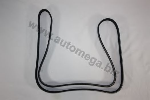 3163400660 Curea transmisie cu caneluri AUTOMEGA 