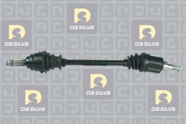 C31289 Planetara DA SILVA 