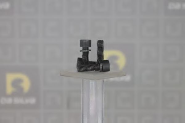 Set surub, disc curea-arbore cotit 4