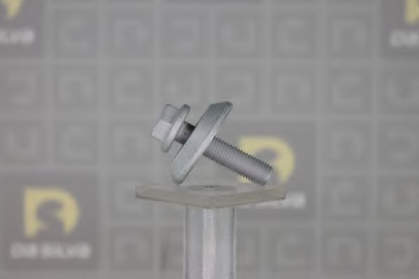 Set surub, disc curea-arbore cotit 4
