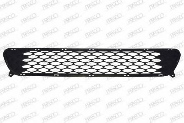 Grila radiator 2