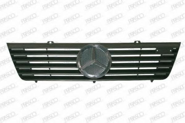 Grila radiator 2