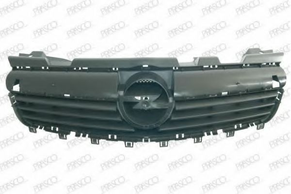 Grila radiator 2