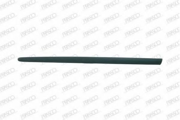 Elemente decorative/protectie, portiera 2