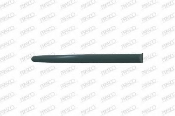 Elemente decorative/protectie, portiera 2