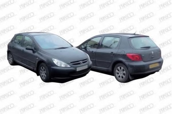 PG4201900 Material amortizare zgomot, nisa motor PRASCO 