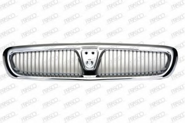 Grila radiator 2