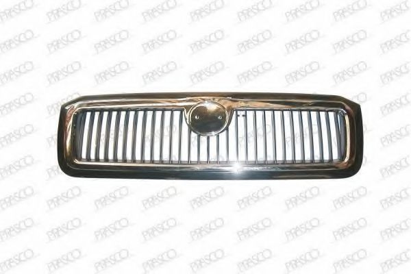 Grila radiator 2