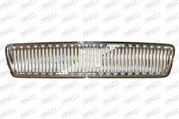 Grila radiator 2