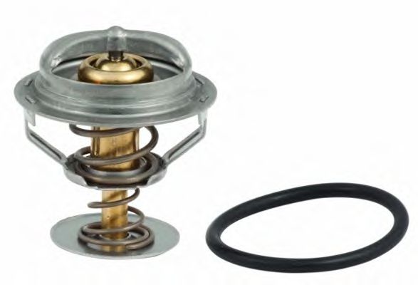 termostat,lichid racire