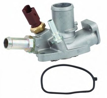 termostat,lichid racire