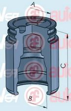 D025251 Piston, etrier frana AUTOFREN SEINSA 