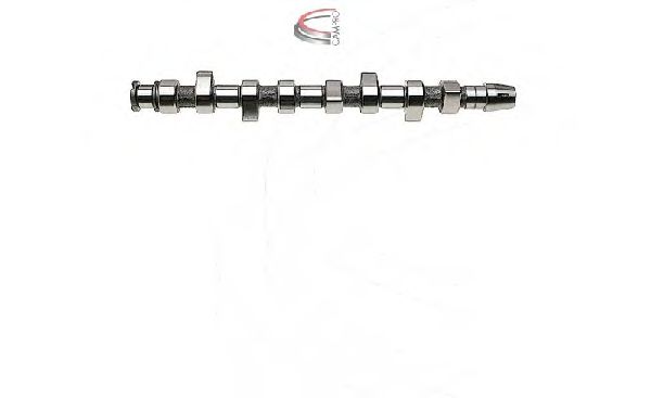 CP10246 Ax cu came CAMPRO 