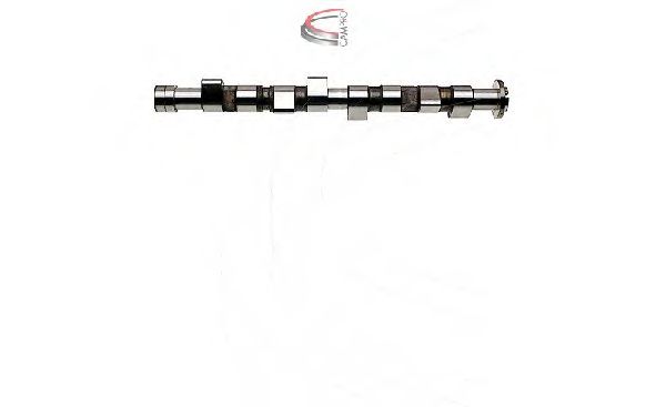 CP16366 Ax cu came CAMPRO 