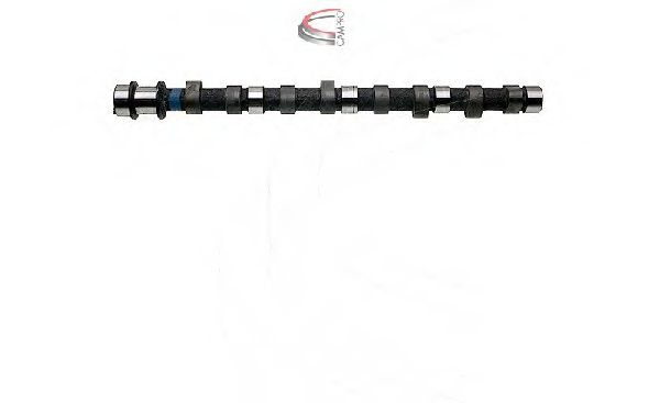 CP17606 Ax cu came CAMPRO 
