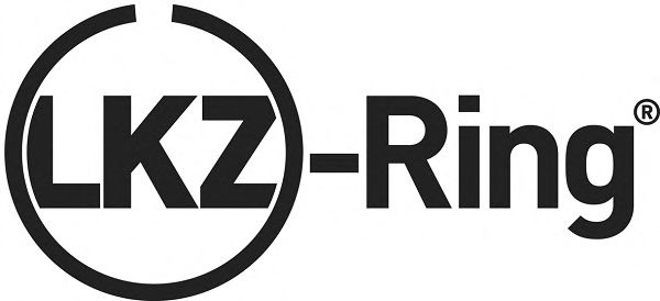 08-424008-00 Set segmenti piston GOETZE ENGINE 