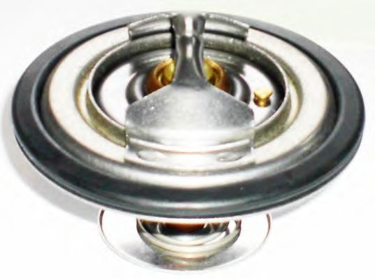 termostat,lichid racire 2