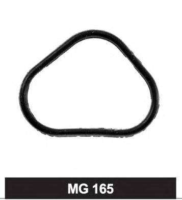 Garnitura termostat